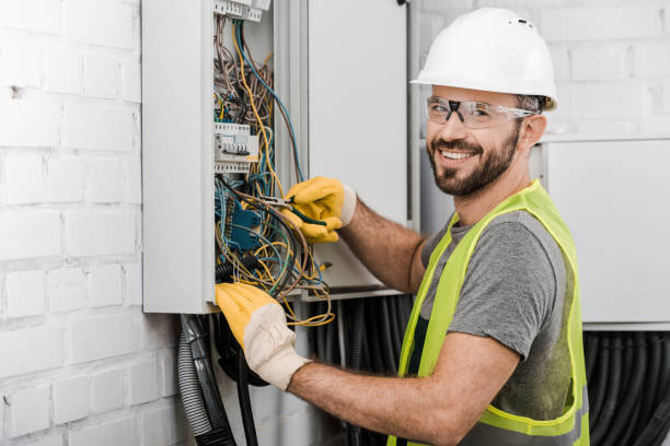 Best Electric Panel Repair  in Lawson, MO